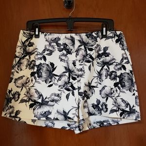 Topshop Shorts NWT Ivory & Black Size 12